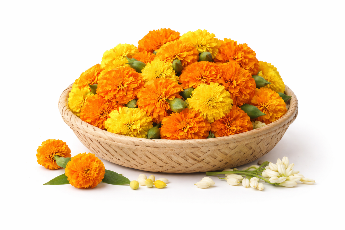 Fresh Genda Phool (Marigold Flowers)